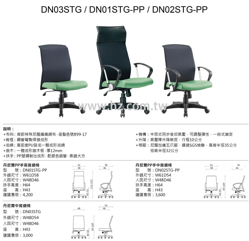 （圖像） DN03STG 丹尼爾中背網椅